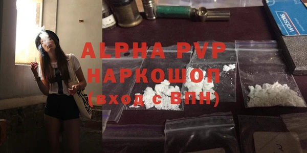 spice Дмитриев