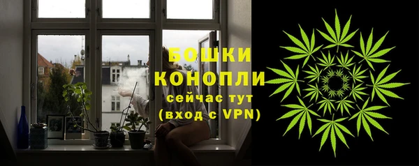 spice Дмитриев