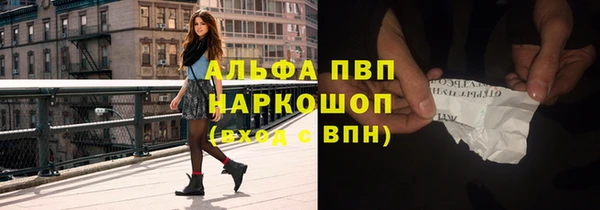 spice Дмитриев