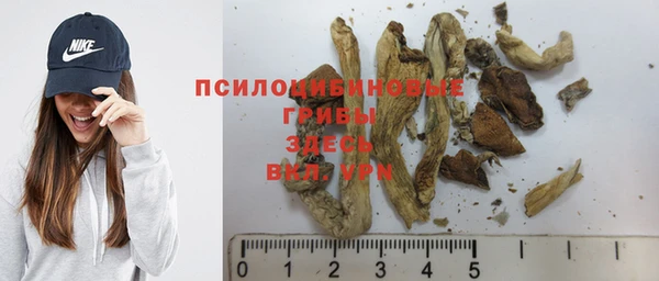 МДПВ Дмитровск