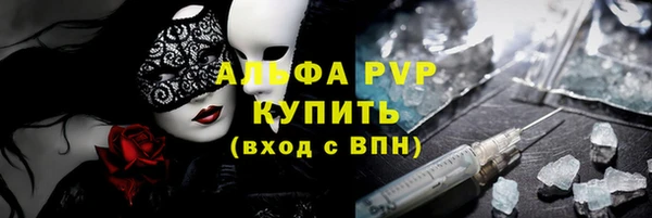 гидра Дмитров