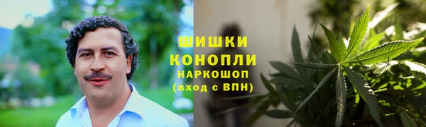 МДПВ Дмитровск