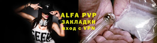 гидра Дмитров
