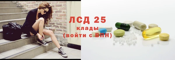 spice Дмитриев