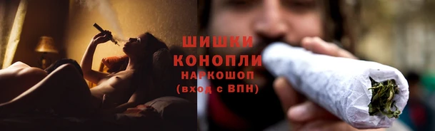 spice Дмитриев