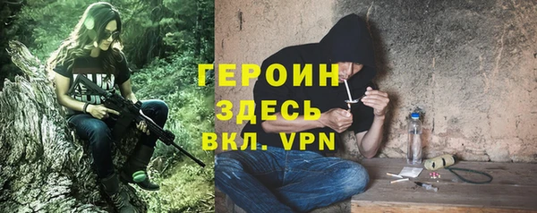 гидра Дмитров