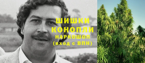 гидра Дмитров