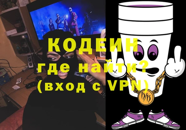 spice Дмитриев
