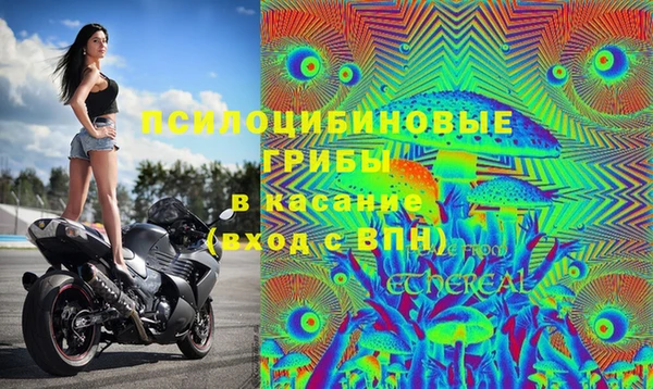 spice Дмитриев