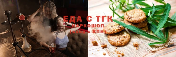spice Дмитриев