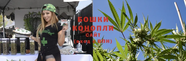 spice Дмитриев