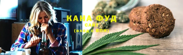 spice Дмитриев