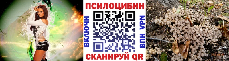 Галлюциногенные грибы Psilocybe Жуков